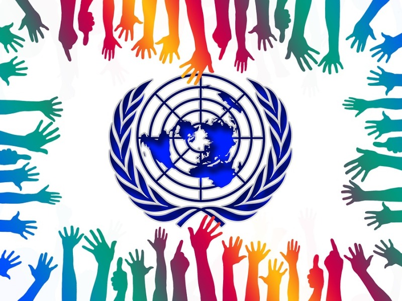 Boletim das RSCM na ONU  | 127